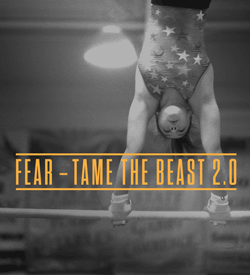 Fear Tame the Beast 20